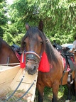 2011 07 10 11 35