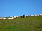 2011 07 14 09 41