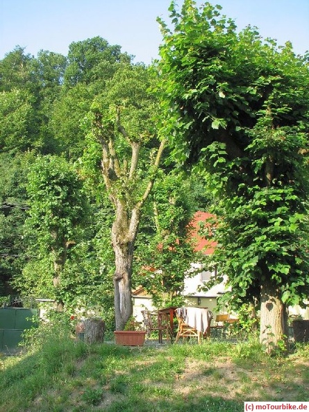 2011_07_15_07_52.jpg