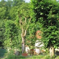2011 07 15 07 52